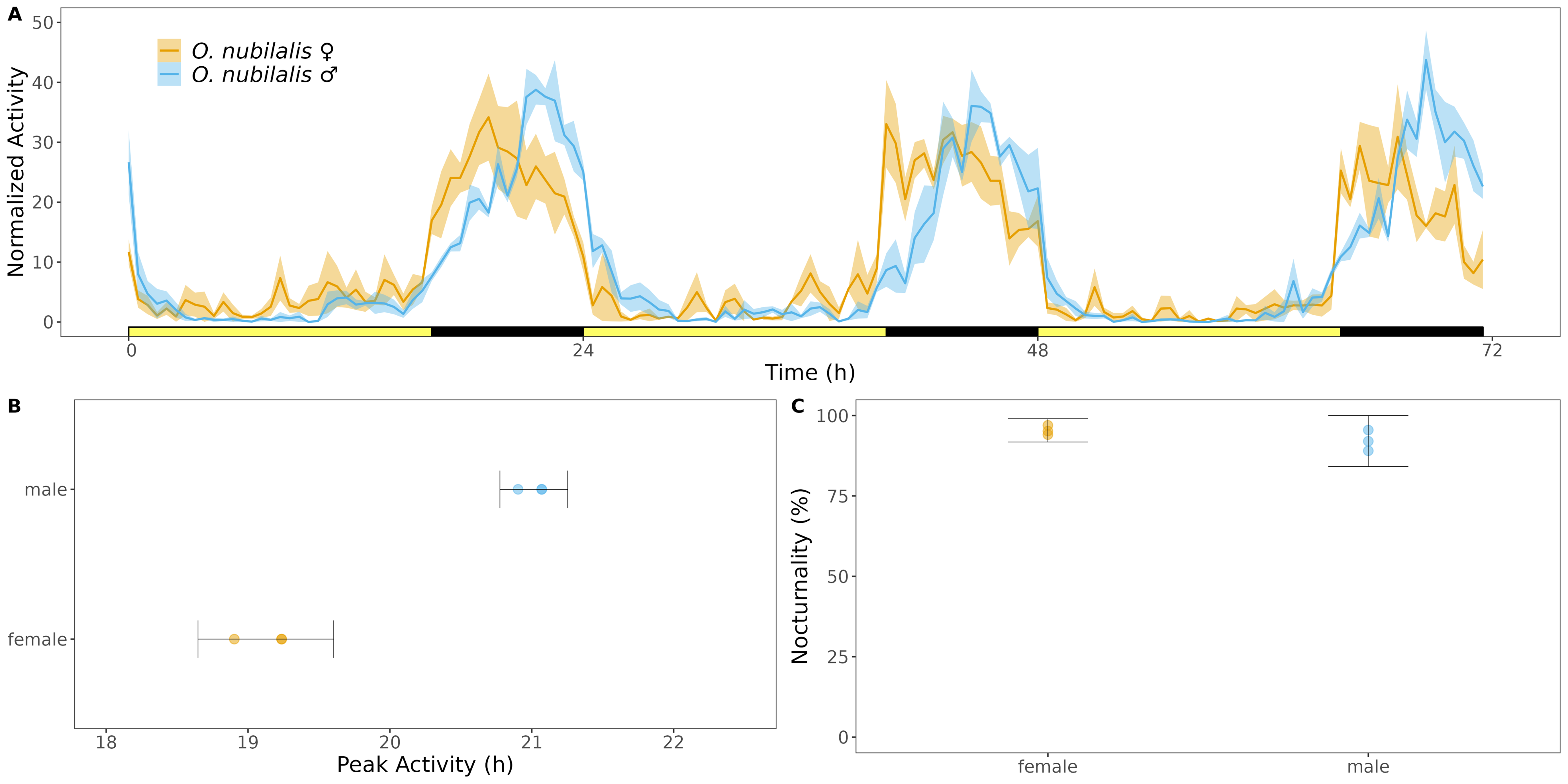 Activity of European corn borer moths in LD. Activity was captured by iLAM across three days of LD (A). Phase of peak activity (B) and percent activity that occured at night (C).