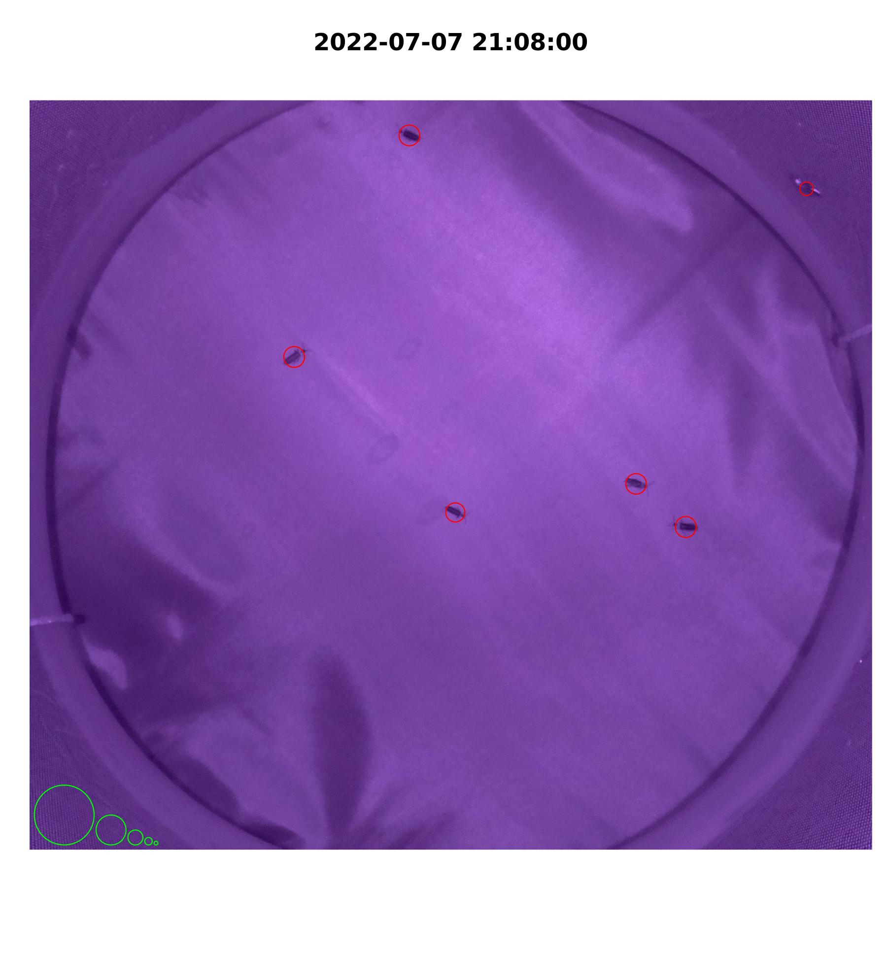 iLAM plot_movements() image